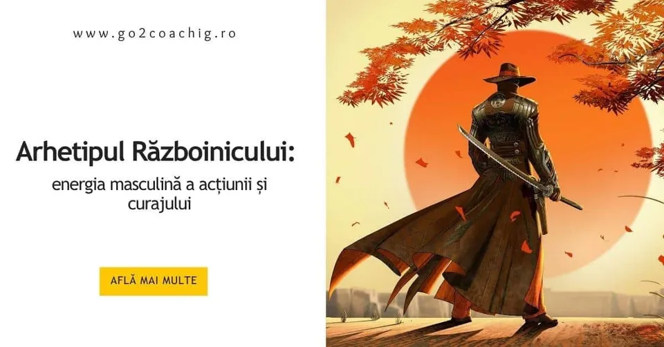 Ilustrație cu un războinic cu sabie în fața unui soare portocaliu, copertă despre arhetipul Războinicului