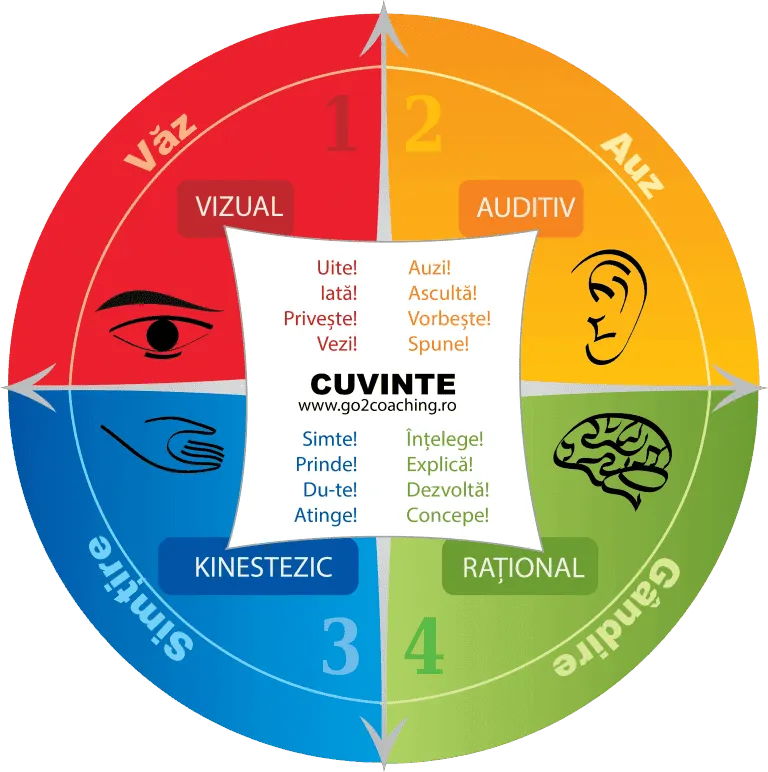 Cercul «Cuvinte» VAK-AD: verbe tipice pentru vizual, auditiv, kinestezic și rațional