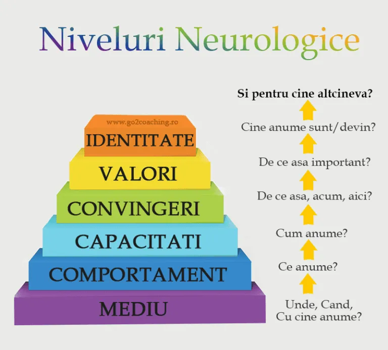 Infografic «Niveluri neurologice» (Dilts): șase trepte de la mediu la identitate, cu întrebări-cheie