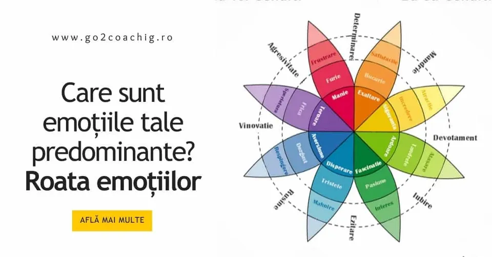 Care sunt emoțiile tale predominante? Roata emoțiilor