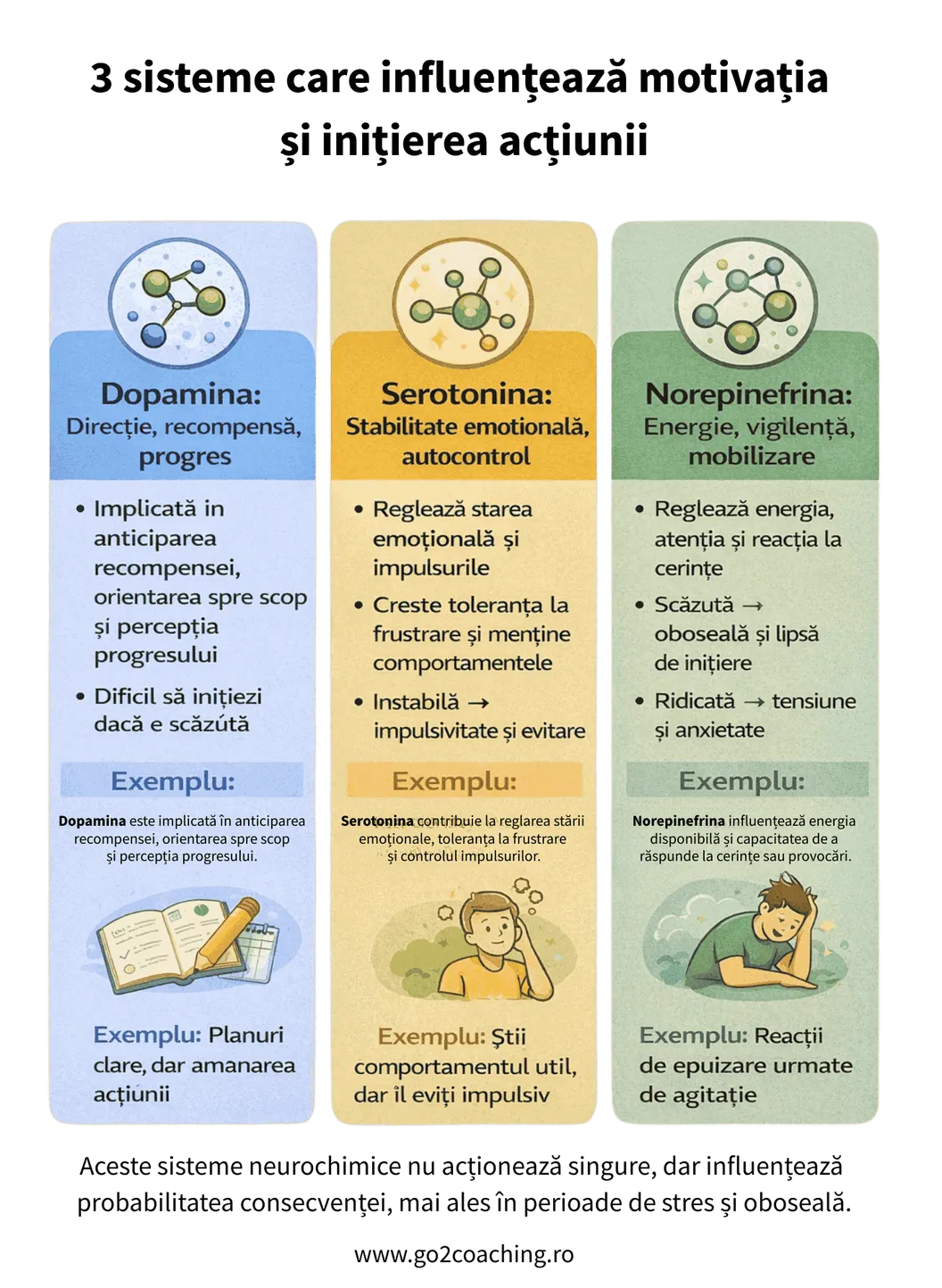 Rolul dopaminei, serotoninei și energiei în consecvență și motivație