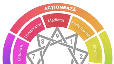 Roata colorată a eneagramei cu steaua celor nouă tipuri: mediator, perfecționist, altruist, entuziast, conducător