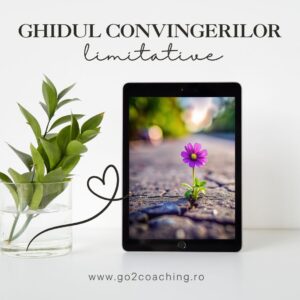 Ghid convingeri limitative