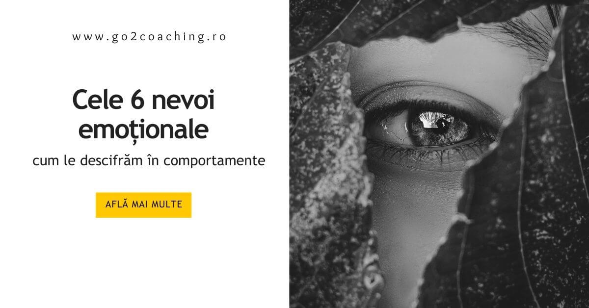 Modelul celor 6 nevoi emoționale în relații