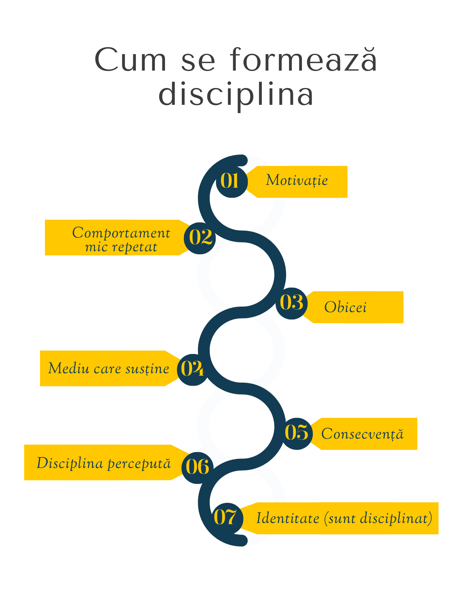 Modelul disciplinei: cum obiceiurile și mediul creează consecvență și identitate